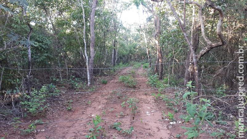 Polícia Militar Ambiental de Três Lagoas autua infrator em R$ 5 mil por desmatamento em área protegida de reserva legal