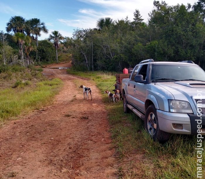 Polícia Militar Ambiental prende cinco caçadores e apreende 19 cães e lanças de caça e rádio comunicadores Polícia Militar Ambiental prende cinco caçadores e apreende 19 cães e lanças de caça e rádio comunicadores