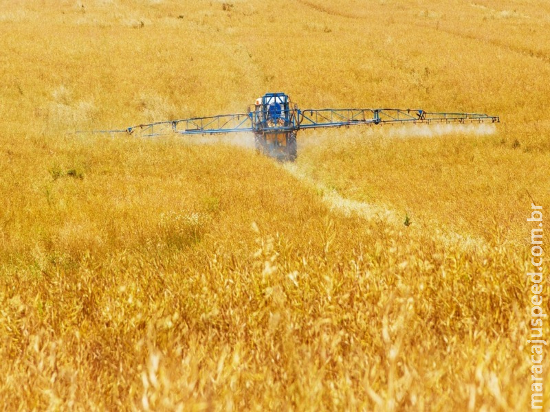 Pontuação de risco irá guiar reavaliação de agrotóxicos Pontuação de risco irá guiar reavaliação de agrotóxicos