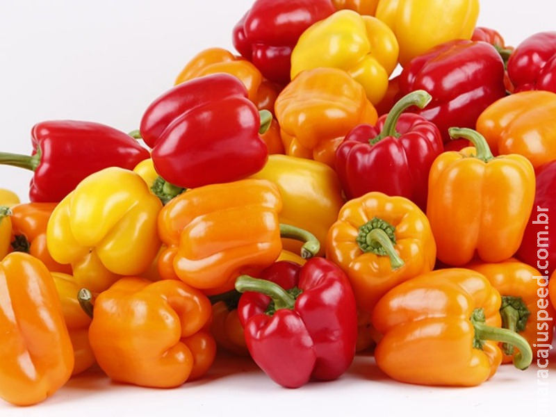 Produção integrada de pimentão reduz os custos com defensivos em até 30%