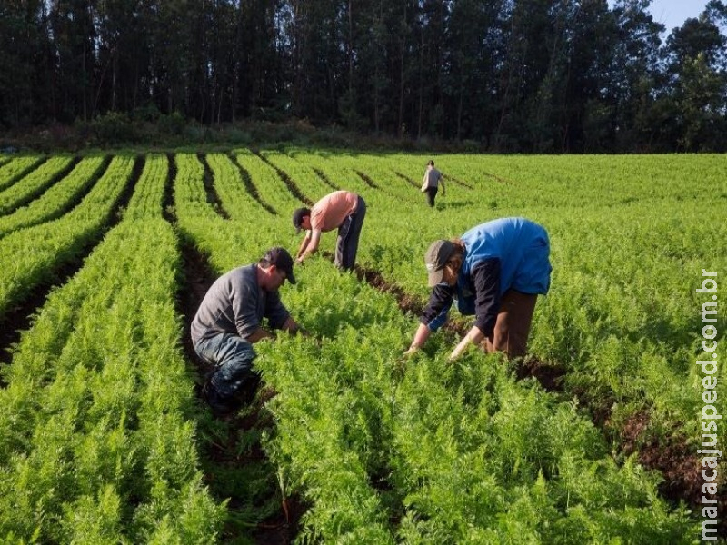 Prorrogada a renovação do Selo Nacional da Agricultura Familiar