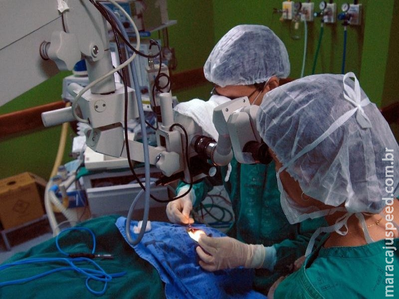 SUS oferece mais 3 medicamentos para jovens transplantados de fígado SUS oferece mais 3 medicamentos para jovens transplantados de fígado