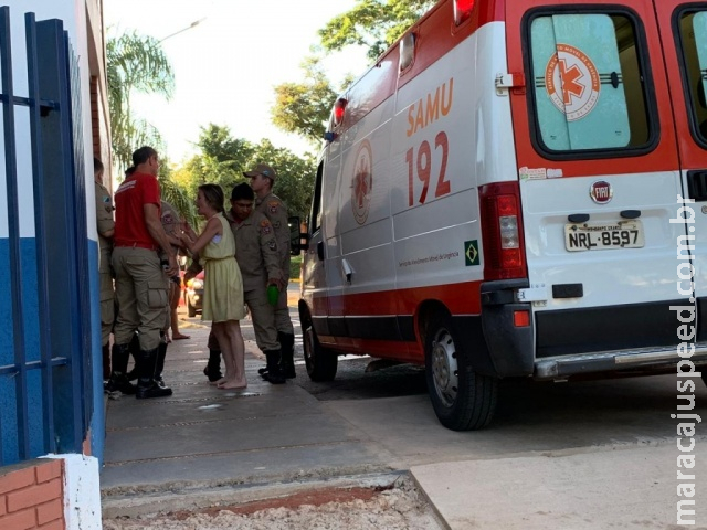 “Alcance do braço dos pais é única distância segura”, alertam Bombeiros