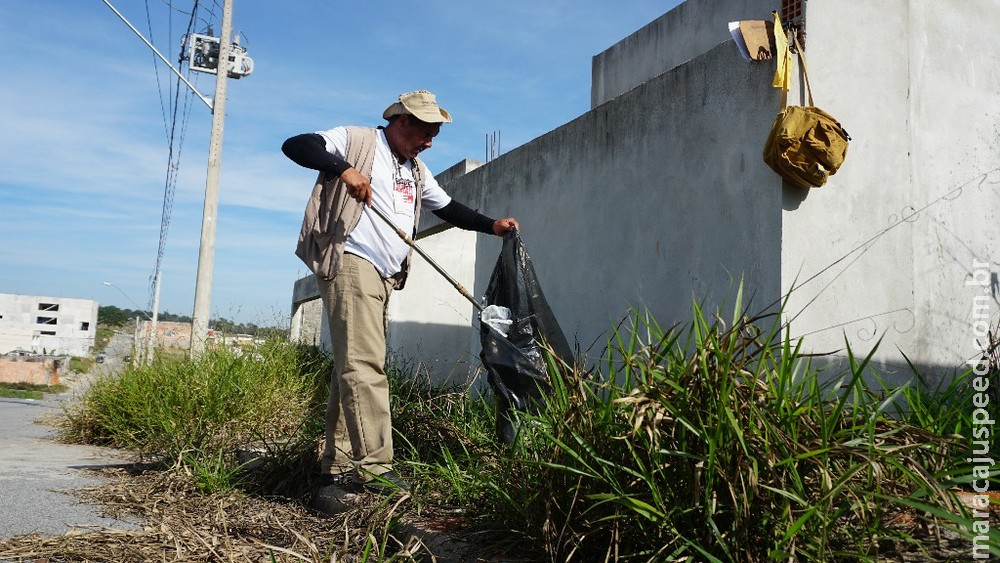 Brasil registra quase 600 mil casos confirmados de dengue em 2019