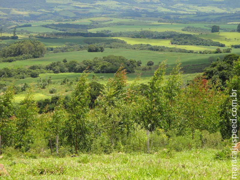 Cadastro Ambiental Rural tem mais de 5,8 milhões de propriedades registradas