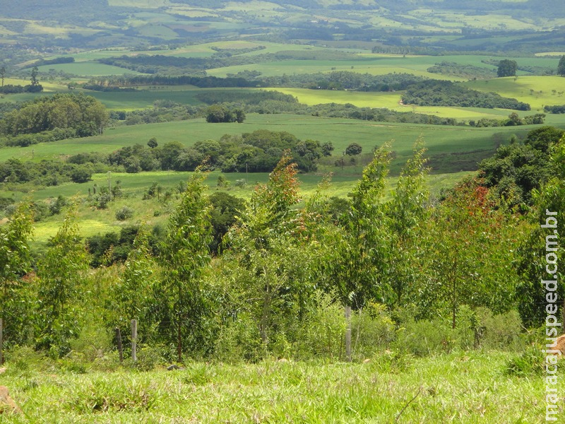 Cadastro Ambiental Rural tem mais de 5,8 milhões de propriedades registradas Cadastro Ambiental Rural tem mais de 5,8 milhões de propriedades registradas