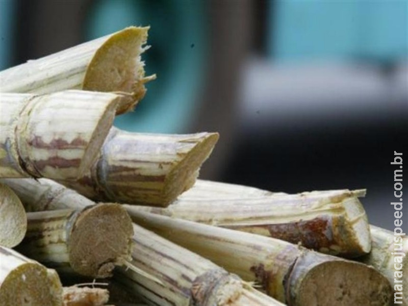 Condições climáticas afetam a produção de grãos e cana-de-açúcar