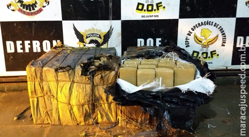 DOF apreende entorpecente abandonado às margens da estrada DOF apreende entorpecente abandonado às margens da estrada