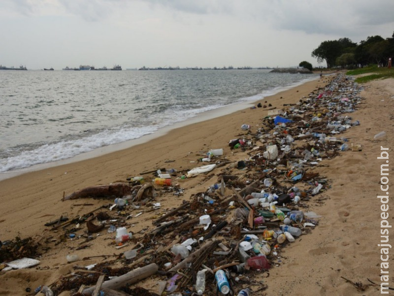 FAO lista cinco maneiras de reduzir nossa dependência do plástico