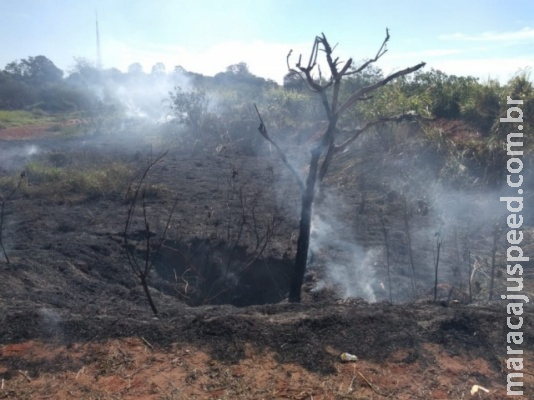 Fogo em terreno às margens da 163 causa risco ao trânsito e transtorno