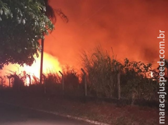 Fogo toma conta de terreno baldio e mobiliza moradores de condomínio Fogo toma conta de terreno baldio e mobiliza moradores de condomínio