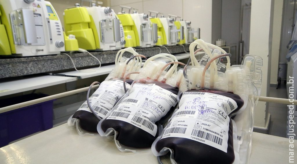 Frio e doenças respiratórias derrubam doações de sangue em 80%