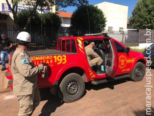 Funcionária acha cobra no berçário de creche e chama bombeiros Funcionária acha cobra no berçário de creche e chama bombeiros