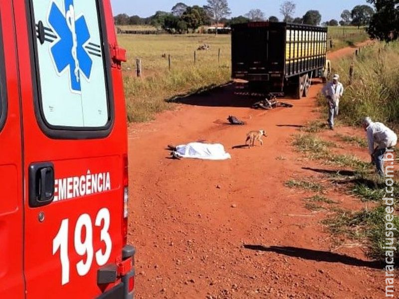 Motoqueiro cai e morre atropelado por caminhão