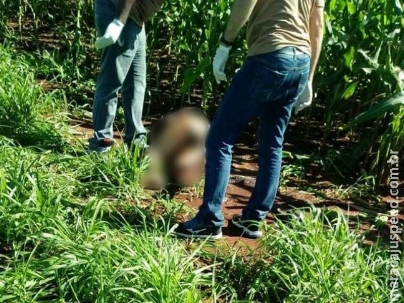 Mulher morta a tiros e jogada em lavoura de milho tinha só 18 anos Mulher morta a tiros e jogada em lavoura de milho tinha só 18 anos