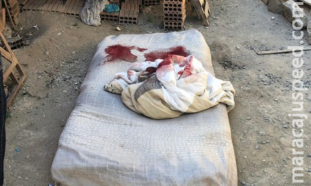 Pistoleiros invadem casa e executam rapaz na frente da mãe enquanto dormia