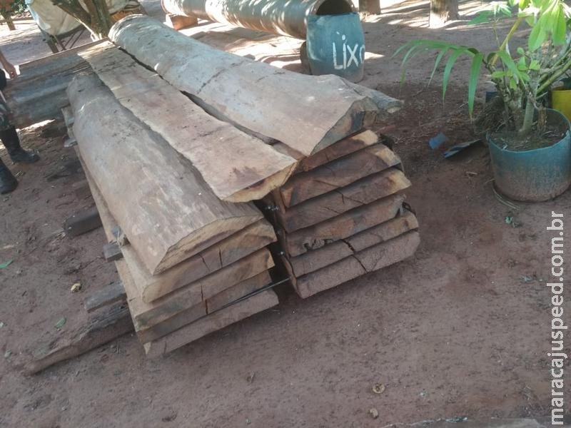 PMA autua assentado em R$ 3 mil por exploração de madeira em área protegida de matas ciliares de córrego