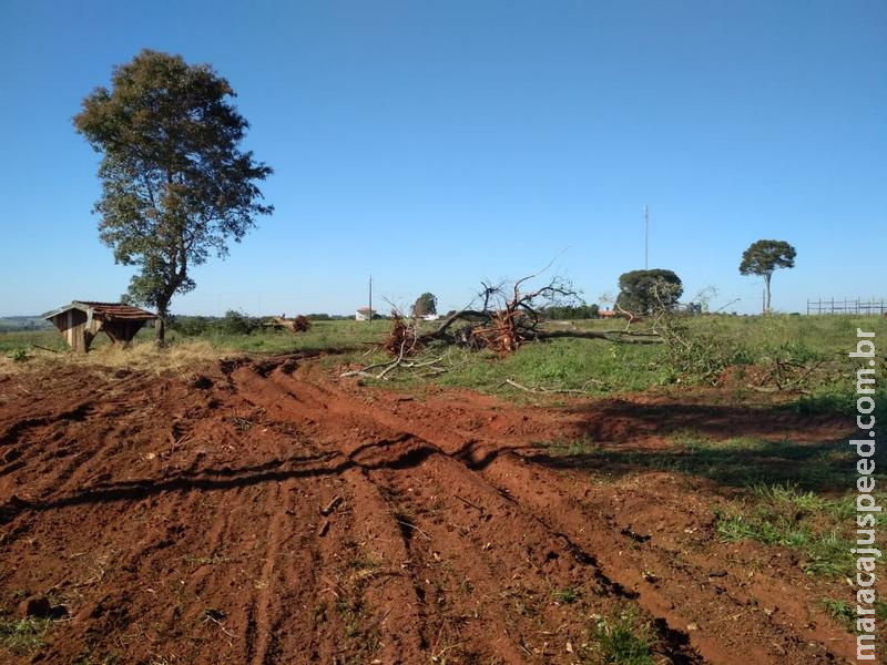PMA autua infrator em R$ 3,3 mil por derrubada de árvores para exploração ilegal de madeira