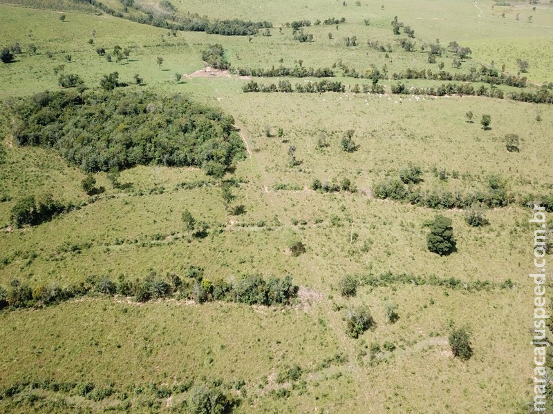 PMA autua infrator em R$ 73 mil por desmatamento ilegal de 73 hectares PMA autua infrator em R$ 73 mil por desmatamento ilegal de 73 hectares