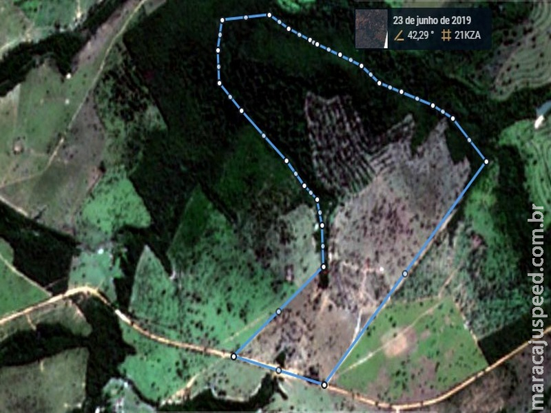 PMA autua infratora em R$ 39 mil por desmatamento de área de 64 hectares com licença ambiental somente para 26 PMA autua infratora em R$ 39 mil por desmatamento de área de 64 hectares com licença ambiental somente para 26