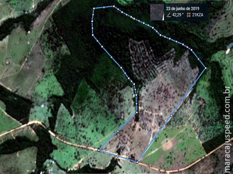 PMA autua infratora em R$ 39 mil por desmatamento de área de 64 hectares com licença ambiental somente para 26