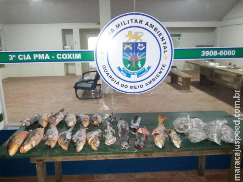 PMA  autua por armazenamento de pescado ilegal infrator preso pela ROTAI por agressão de homem a coronhadas