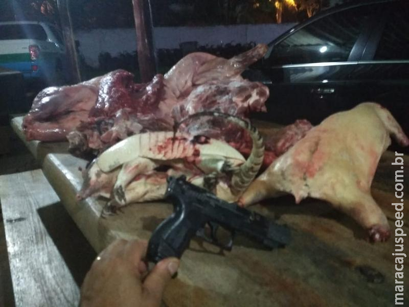 PMA de Mundo Novo e Amambai prendem capataz que organizava caçada e apreendem pistola, munições e cinco animais abatidos