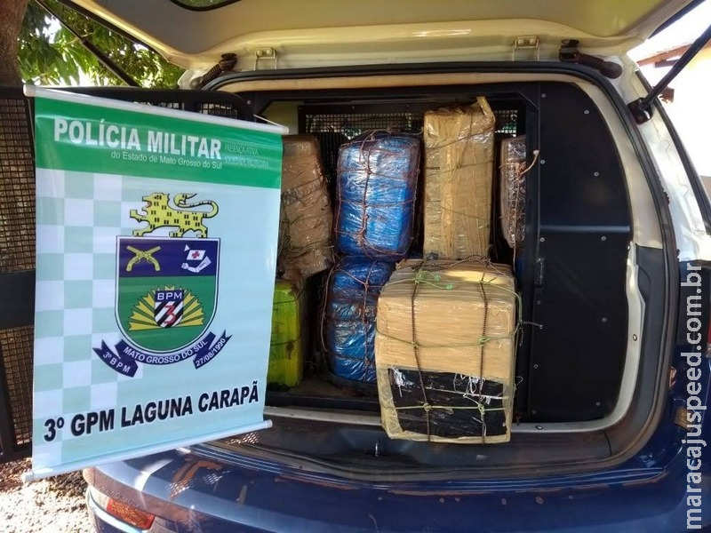Polícia encontra 290 kg de maconha escondida em mata Polícia encontra 290 kg de maconha escondida em mata