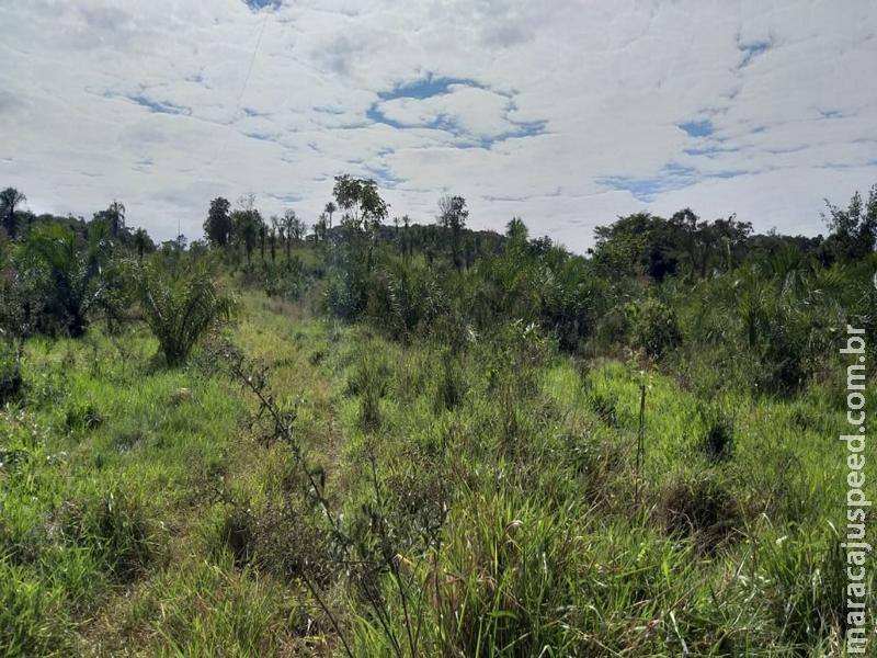 Polícia Militar Ambiental autua 4, apreende 25 kg de pescado e aplica 21,3 mil em multas durante a operação Corpus Christi Polícia Militar Ambiental autua 4, apreende 25 kg de pescado e aplica 21,3 mil em multas durante a operação Corpus Christi