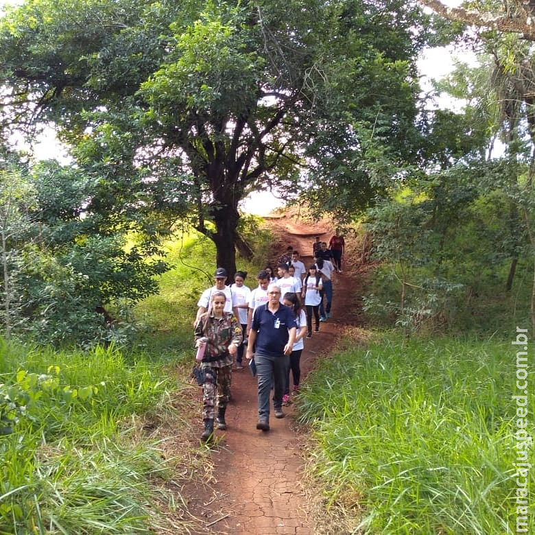 Polícia Militar Ambiental conclui semana do ambiente com Educação Ambiental para 15.727 alunos e pessoas da comunidade  