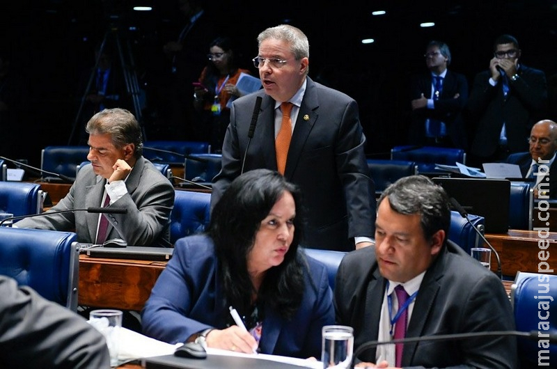 Projeto que endurece penalidades para transporte irregular vai à sanção Projeto que endurece penalidades para transporte irregular vai à sanção