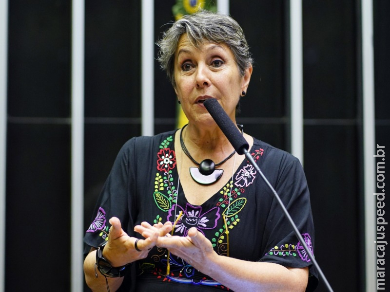 Seguridade aprova novas regras para o funcionamento de conselhos tutelares Seguridade aprova novas regras para o funcionamento de conselhos tutelares