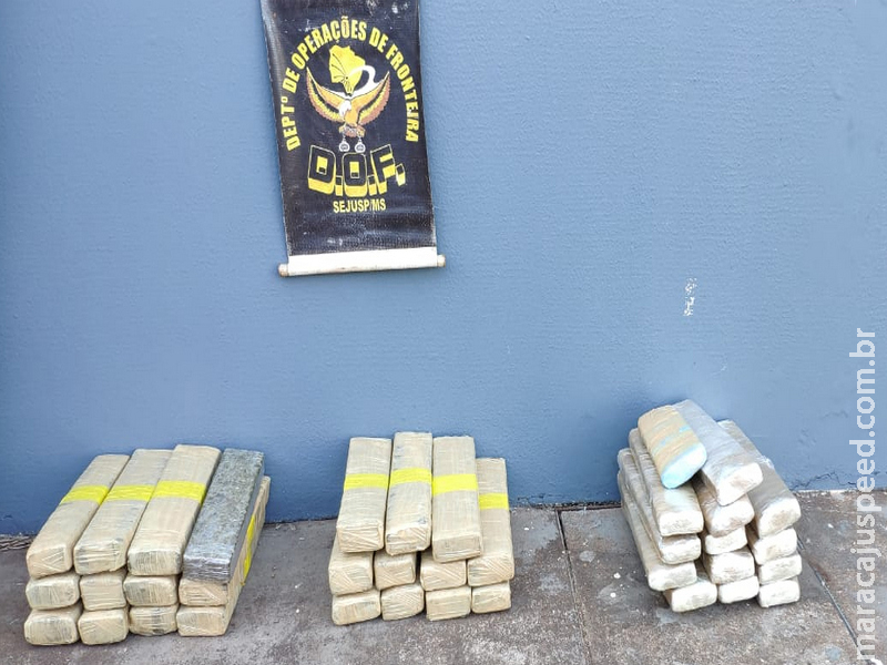 Três adolescentes transportando droga em ônibus foram apreendidos pelo DOF Três adolescentes transportando droga em ônibus foram apreendidos pelo DOF