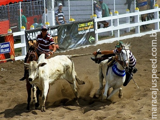 Câmara aprova texto-base de projeto que regulamenta a vaquejada