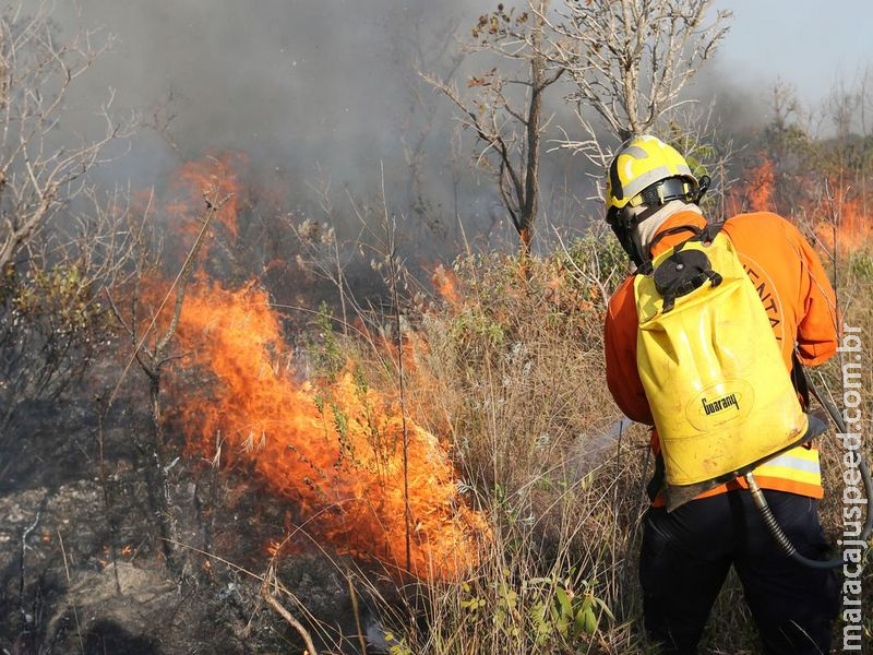Campanha vem conscientizar sobre riscos de queimadas durante a seca Campanha vem conscientizar sobre riscos de queimadas durante a seca