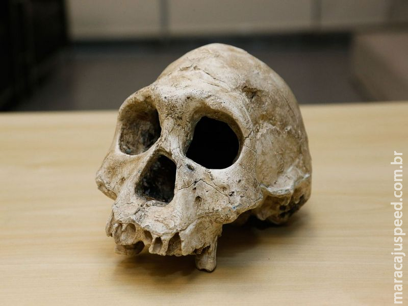 Descoberta de brasileiros pode mudar história da humanidade Descoberta de brasileiros pode mudar história da humanidade