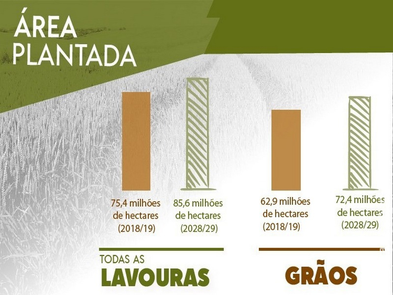 Em dez anos, área plantada será ampliada em 10,3 milhões de hectares no Brasil