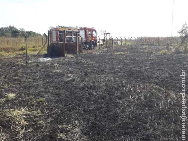 Homem é preso após atear fogo em terreno particular Homem é preso após atear fogo em terreno particular