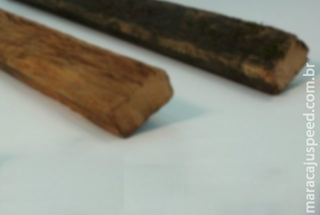 Idoso de 93 anos é encontrado ensanguentado perto de praça depois de ser atacado a pauladas Idoso de 93 anos é encontrado ensanguentado perto de praça depois de ser atacado a pauladas