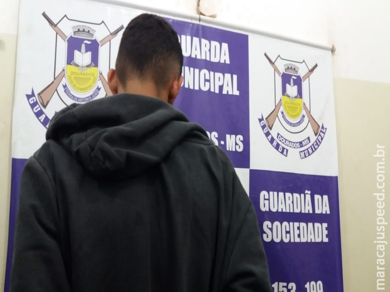 Maconha com destino a Campo Grande é apreendida pela GM