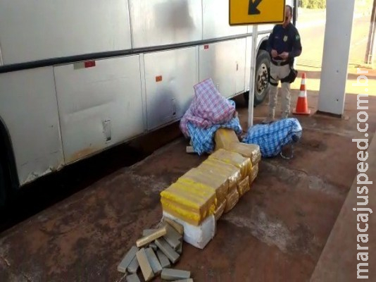 Meia tonelada de maconha é encontrada escondida em bacias em ônibus na fronteira Meia tonelada de maconha é encontrada escondida em bacias em ônibus na fronteira