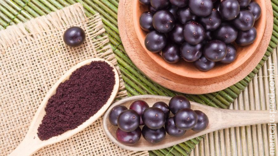 Obesidade, sobrepeso e até diabetes: os perigos do açaí em exagero Obesidade, sobrepeso e até diabetes: os perigos do açaí em exagero