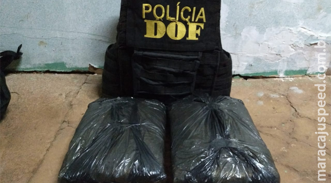Passageira de ônibus que levaria droga para o Paraná foi presa pelo DOF 