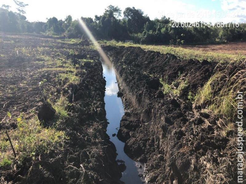 PMA autua infrator em R$ 34,5 mil por desmatamentos, degradação de área protegida e por exploração ilegal de madeira