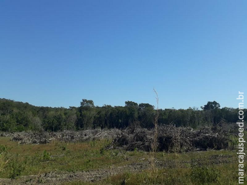 PMA autua paulista em R$ 135 mil por desmatamento de vegetação nativa e exploração ilegal de madeira PMA autua paulista em R$ 135 mil por desmatamento de vegetação nativa e exploração ilegal de madeira
