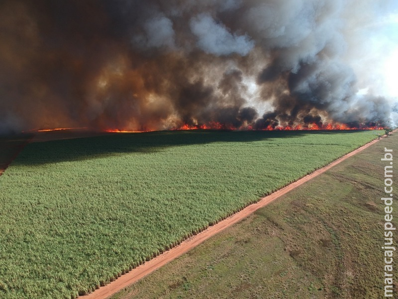 Polícia Militar Ambiental autua usina sucroenergética em R$ 953 mil por incêndio em lavoura de cana sem autorização