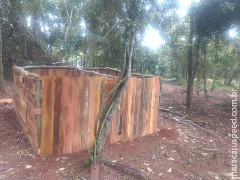 Polícia Militar Ambiental de Amambai autua infrator em R$ 5,5 mil por exploração de madeira do bioma protegido de Mata Atlântica
