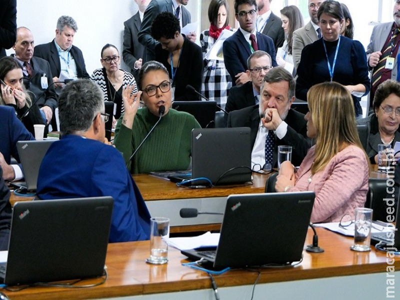 Professor de educação física deverá ter diploma, decide comissão Professor de educação física deverá ter diploma, decide comissão
