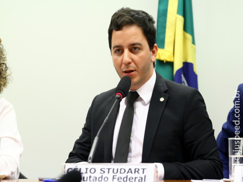 Projeto reforça no Estatuto da Juventude a participação popular na política Projeto reforça no Estatuto da Juventude a participação popular na política