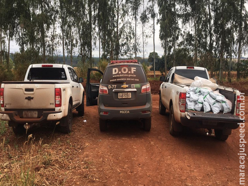 Quase 400 quilos de agrotóxicos contrabandeados do Paraguai foram apreendidos pelo DOF 
